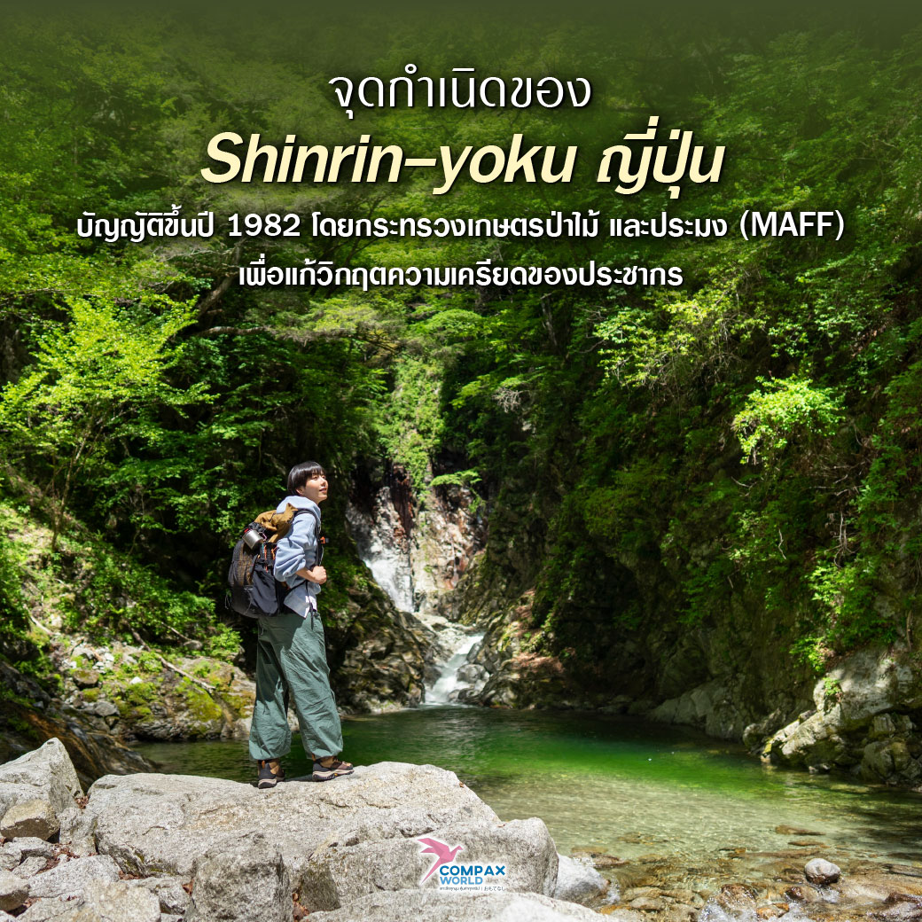 เที่ยวญี่ปุ่น ทัวร์ญี่ปุ่น ทัวร์ญี่ปุ่นพรีเมี่ยม โปรแกรมทัวร์ญี่ปุ่น